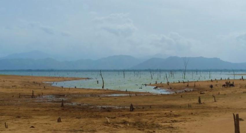 Team deployed to conduct field study of Udawalawa